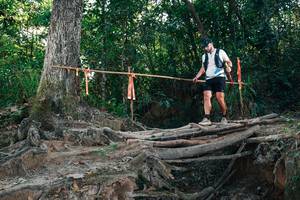 BIB: 
                            <button type="button" onclick="openModal(27756334)" class="btn btn-primary btn-sm float-right btn-popup" data-toggle="modal" data-target=".modal-high-quality">
                        <i class="fas fa-shopping-cart"></i> Add to Cart
                    </button>
                                            <button type="button" onclick="isThisMe(27756334, true)" class="btn btn-success btn-sm float-right btn-popup btn-isme hidden" data-toggle="tooltip" data-placement="bottom" title="นี่คือรูปของคุณใช่ไหม คลิกที่นี่เพื่อเอาเข้าอัลบั้ม">
                        <i class="fas fa-plus"></i> Add to album
                    </button>
                    <button type="button" onclick="isThisMe(27756334, false)" class="btn btn-warning btn-sm float-right btn-popup btn-isnotme hidden">
                        <i class="fas fa-ban"></i> Remove from album
                    </button>